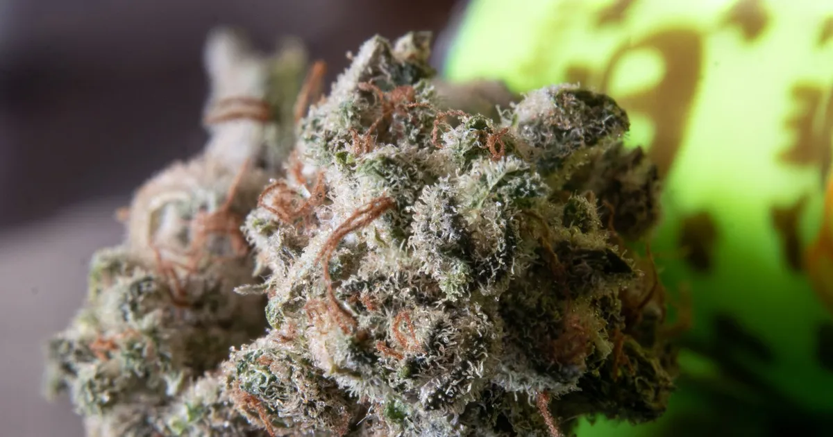 First-time cannabis guide: start here
