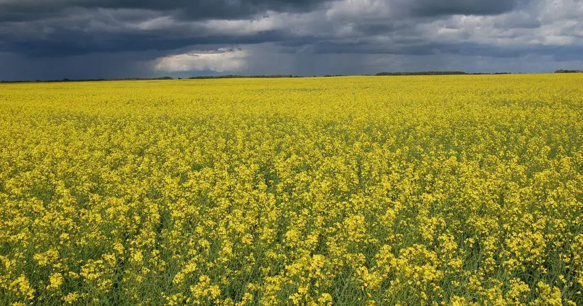 Saskatchewan, Canada